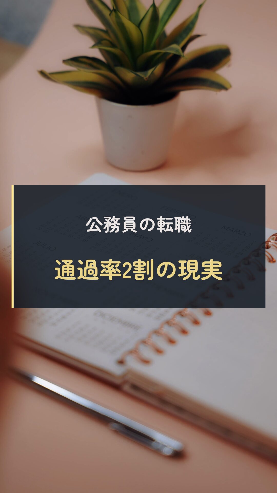 応募社数の決め方の動画表紙